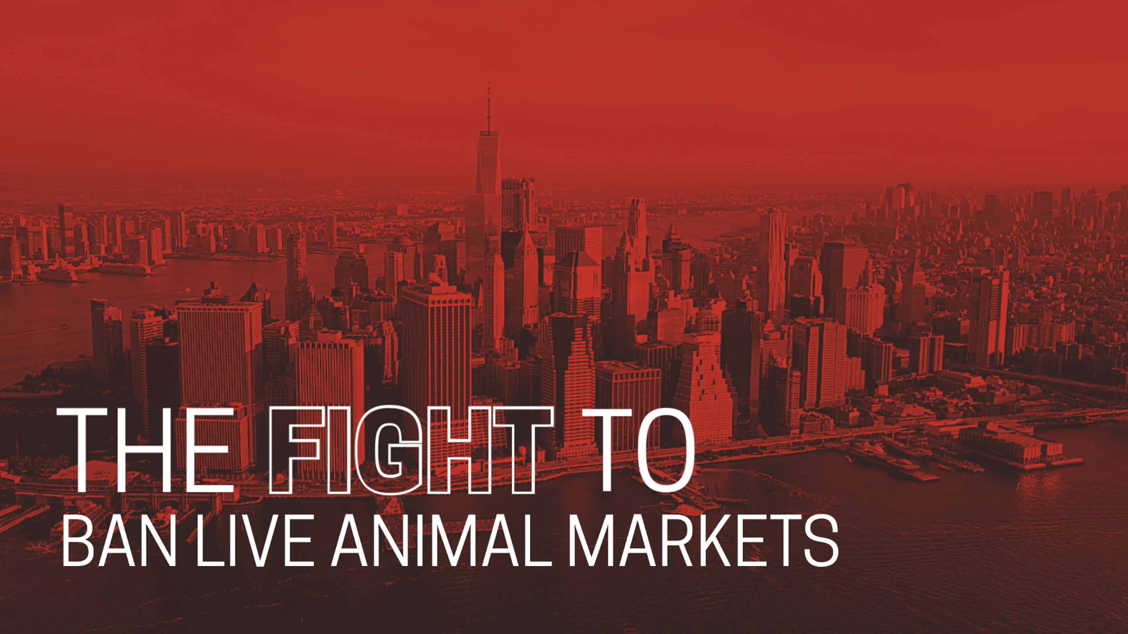 The Fight to Ban Live Animal Markets poster